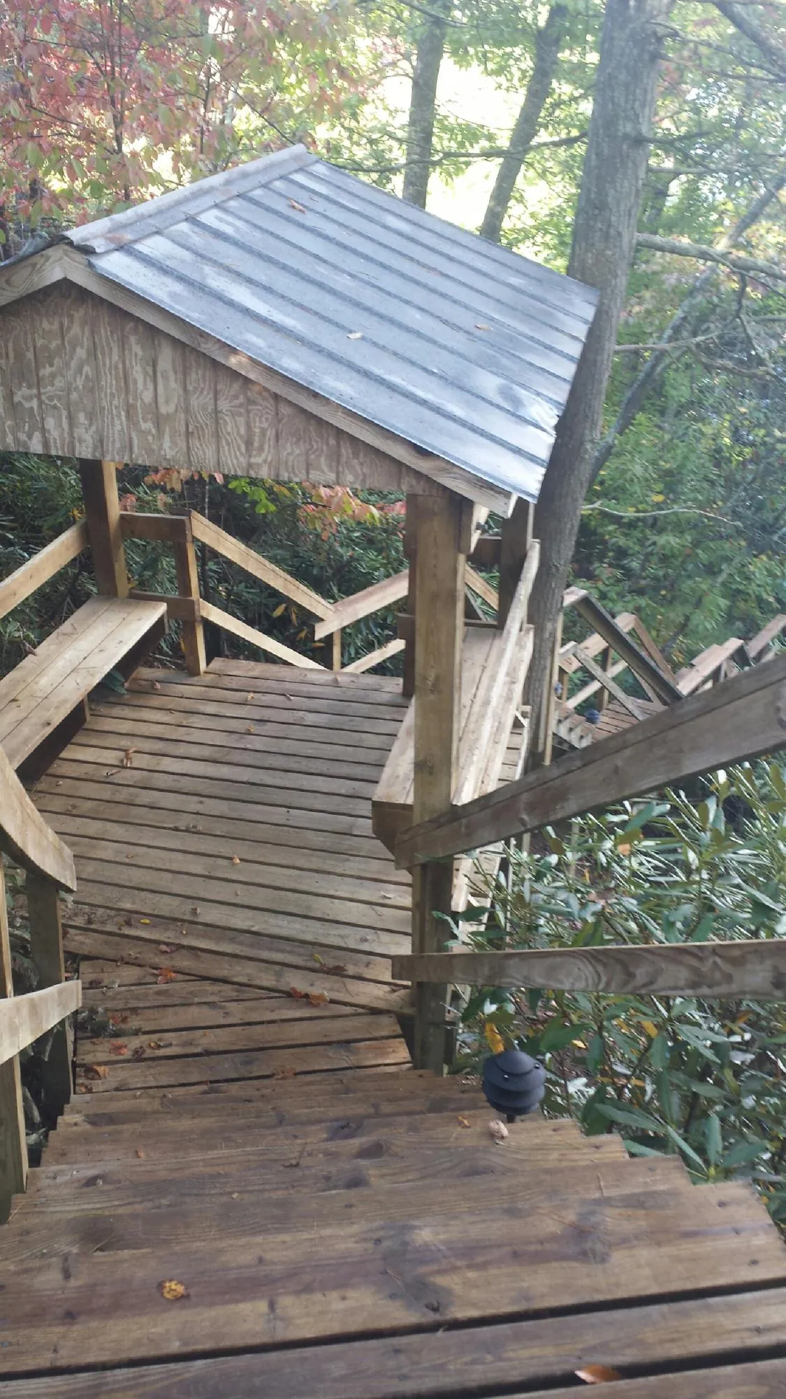 Metal roofed shelter over wooden steps on a wooded walkway — Skylight Repair & Installation work by our crew in Cosmopolis