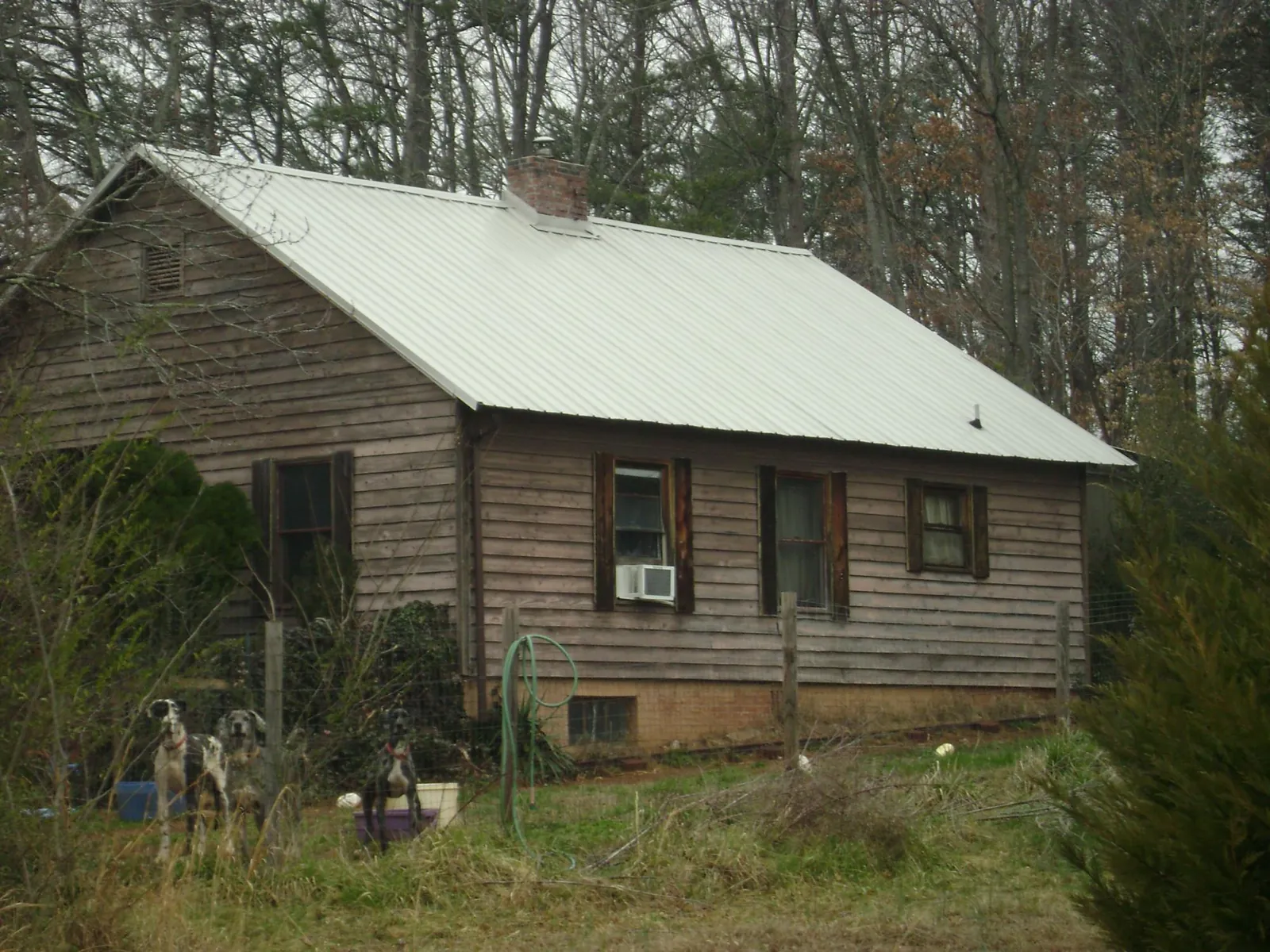 White metal roof on an old wood sided farmhouse, from a Metal Roof Installation job in Cosmopolis